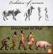 evolution_of_men_women.jpg