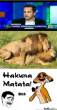 hakuna-matata-bitch_c_384535.jpg