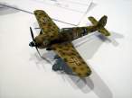 BLuka21feb13 Fw190afr sm 01.jpg