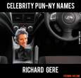 Celebrity-Name-Puns-Richard-Gere.jpg