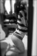 hump-day-132.jpg