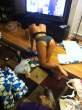crawling-is-my-favorite-thing-25.jpg