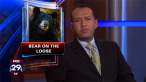 phillymag.130313.bear_.attack.fox29.jpg
