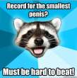 small penis record.jpg