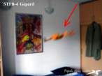 STFB-4test3fl1 05shm r.jpg
