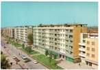 LESKOVAC 2.jpeg