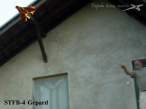4trbeTestFl02 06d1 r.jpg