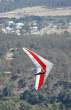 AirBorne_Sting_5.jpg