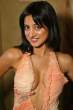 53312_HQCB.NET_Noureen_DeWulf_1_122_478lo.jpg