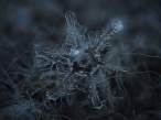 snowflake-closeup3-550x412.jpg
