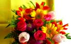 Flowers-flowers-34015066-1920-1200.jpg