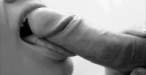 Kit u usta 0038.gif