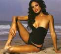 kd-aubert7.jpg
