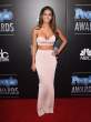 melanie-iglesias-at-the-people-magazine-awards_5.jpg