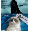 grumpy+cat_d956e2_4298892.gif