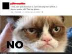 grumpy-cat-doesnt-care-38526.gif