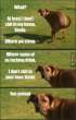 dog shit.jpg