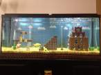 Mario-Aquarium.jpg