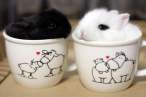 ten-ridiculously-adorable-animals-in-cups-8.jpg