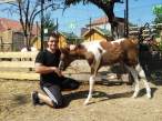 Optimized-zoo cegar.jpg