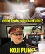 74.jpg