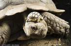 140 year old mom, with 5 day old son..jpg
