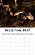 The Die Hard Dolls 2017 Calendar[p]-page-010.jpg