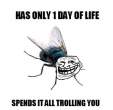 Trolling+is+a+art+hey+guise+check+my+profile+for_b64caf_3355709.jpg